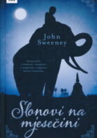 Slonovi na mjesečini