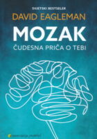 Mozak: Čudesna priča o tebi