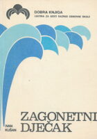 Zagonetni dječak