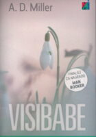 Visibabe