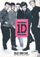 One Direction (1D)