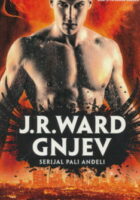 Gnjev (Pali anđeli)