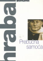 Prebučna samoća