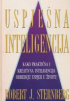Uspješna inteligencija