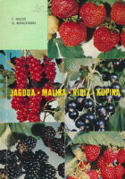 Jagoda, malina, ribiz, kupina