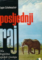 Posljednji raj