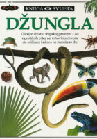 Džungla