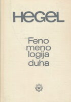 Fenomenologija duha