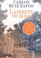 Labirint duhova