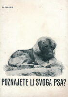 Poznajete li svoga psa?