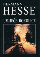 Umijeće dokolice