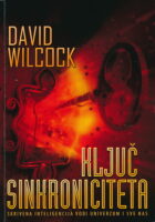 Ključ sinkroniciteta