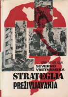 Sjevernovijetnamska strategija