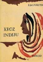 Kroz Indiju