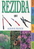 Rezidba