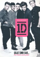 One Direction (1D) - Gdje smo sad