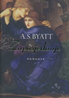 Zaposjedanje : romansa