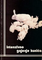 Intenzivno gajenje kunića