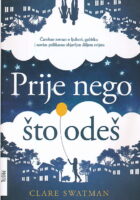 Prije nego što odeš