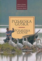Posavska guska / Posavina Goose