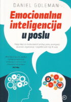Emocionalna inteligencija u poslu