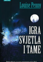 Igra svjetla i tame
