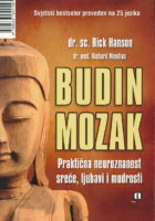 Budin mozak