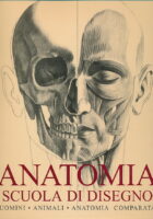 Anatomia : scuola di disegno