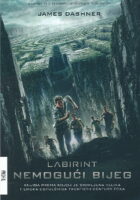 Labirint - Nemogući bijeg
