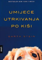 Umijeće utrkivanja po kiši