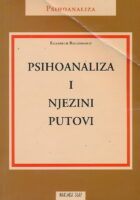 Psihoanaliza i njezini putovi