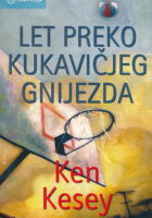 Let iznad kukavičjeg gnijezda