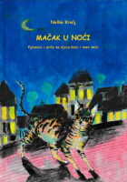 Mačak u noći