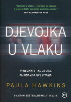Djevojka u vlaku