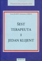 Šest terapeuta i jedan klijent