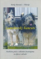 Samoborski huncuti