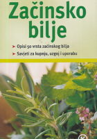 Začinsko bilje