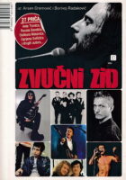 Zvučni zid
