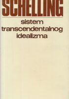 Sistem transcendentalnog idealizma