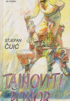 Tajnoviti ponor