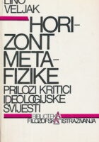 Horizont metafizike