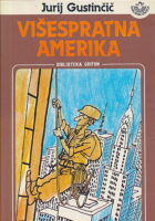 Višespratna Amerika