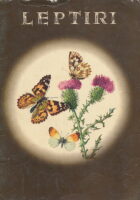 Leptiri - Lepirka (život leptira)