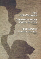 Čudnovate zgode šegrta Hlapića, pripovijest