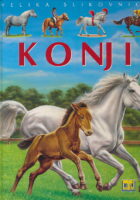 Velika slikovnica: Konji