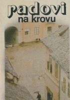 Radovi na krovu
