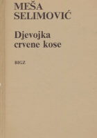 Djevojka crvene kose