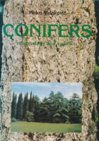 Conifers - morphology and variation