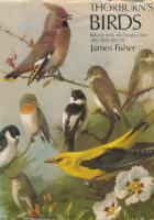 Thorburn's Birds