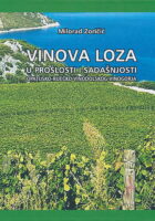 Vinova loza u prošlosti i sadašnjosti